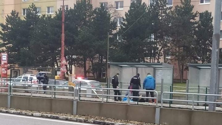 dúbravka saratovská