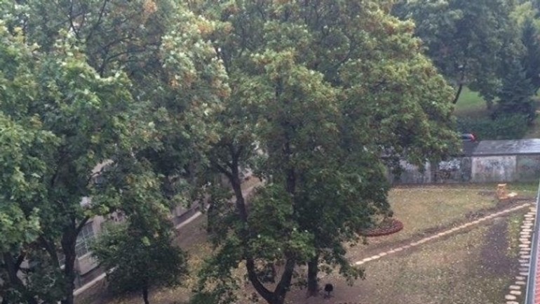 Máte nápad, ako zlepšiť život v ružinove? je šanca, že vám ho preplatia - ruzinov