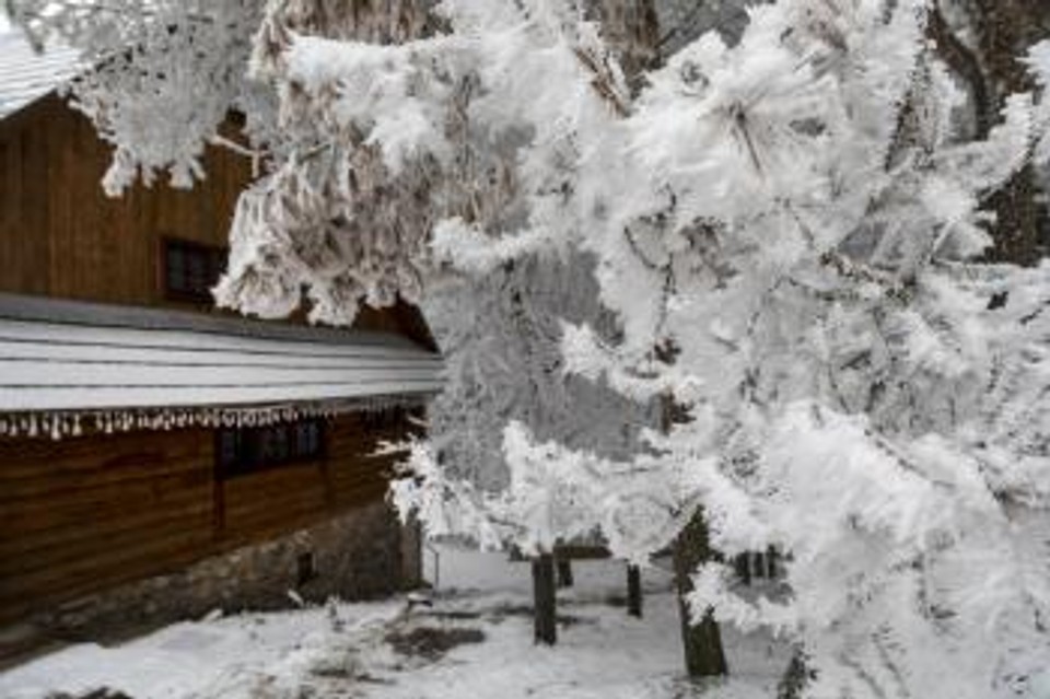 t_23122016zima_zochova2391466