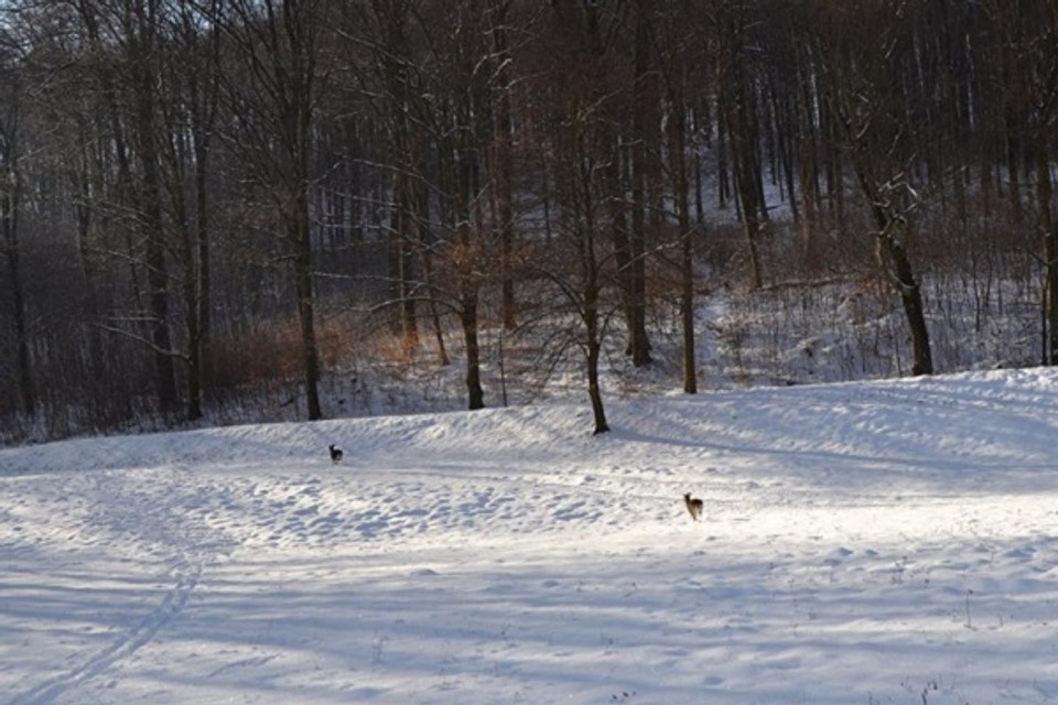 15977996_1881336175432060_2701858996161745242_n