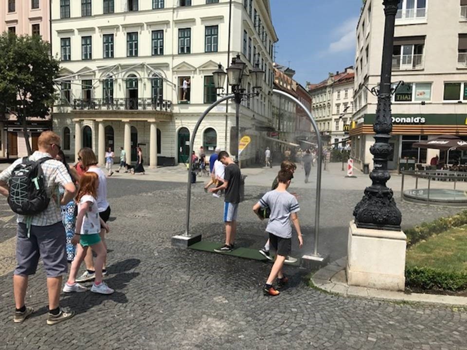 Rozprašovač vodnej hmly