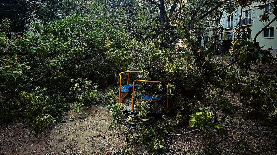 Na deti hrajúce sa na ihrisku spadli mohutné konáre stromu, tri deti previezli do nemocnice