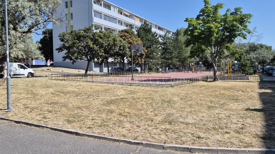 Teploty v budúcnosti výrazne porastú, Bratislava má však výhodu, len ju musí dokázať využiť