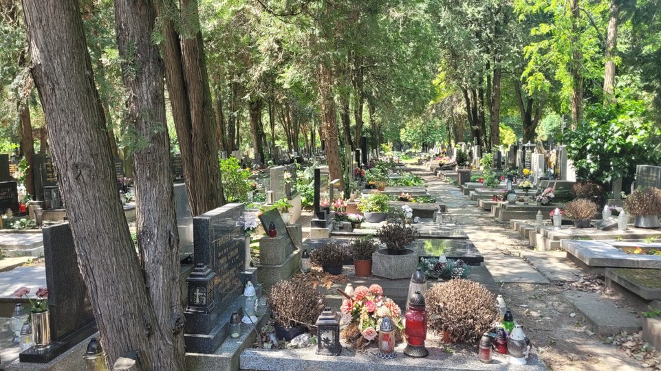 Bratislave chýbajú hrobové miesta, črtá sa nový cintorín. Kde ho vybudujú?