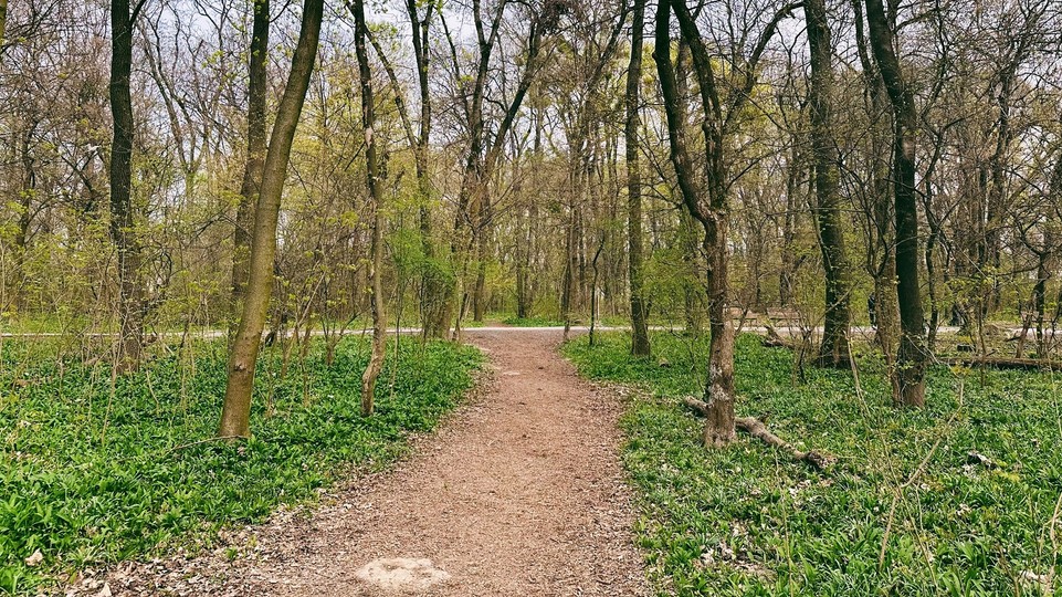 Všimli ste si nové chodníky v ovsištskom lesíku?