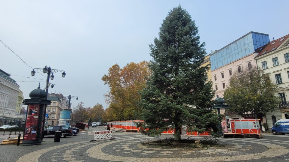 Vianoce sa blížia, stromček už stojí aj na Hviezdoslavovom námestí