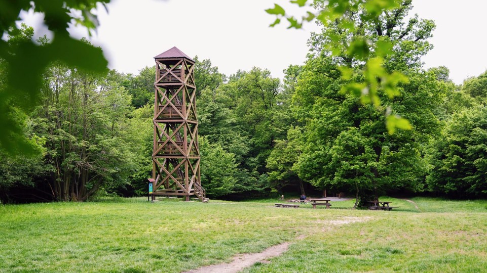 Drevená rozhľadňa na Americkej lúke prejde rozsiahlejšou obnovou