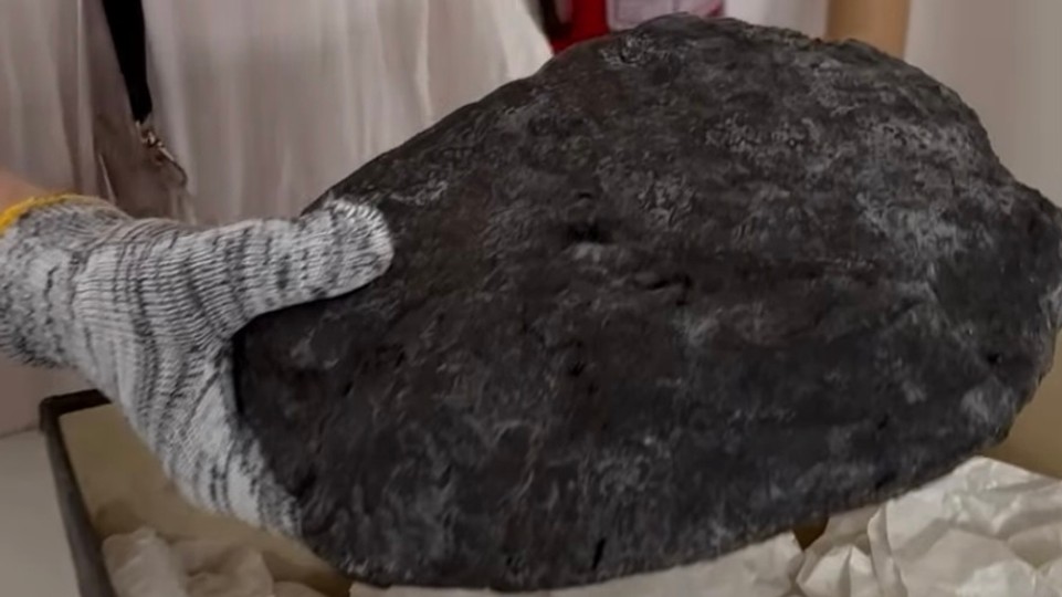 Archeologický unikát: Na nádvorí Starej radnice vystavujú devínsky chlieb starý 1500 rokov