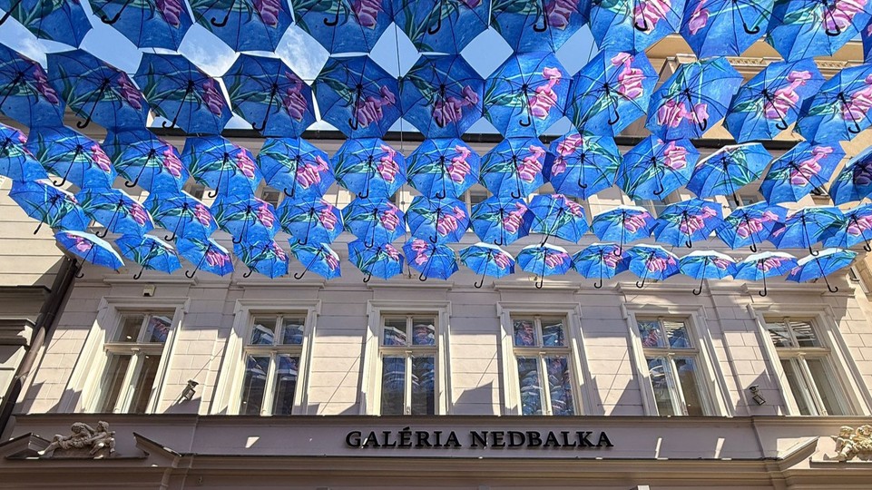 Príďte sa prejsť. Galéria Nedbalka opäť otvorila bratislavskú Dáždnikovú ulicu