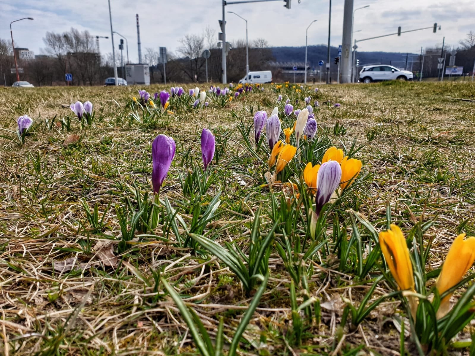 Dnes nastane jarná rovnodennosť, začína sa astronomická jar | Aktuality ...