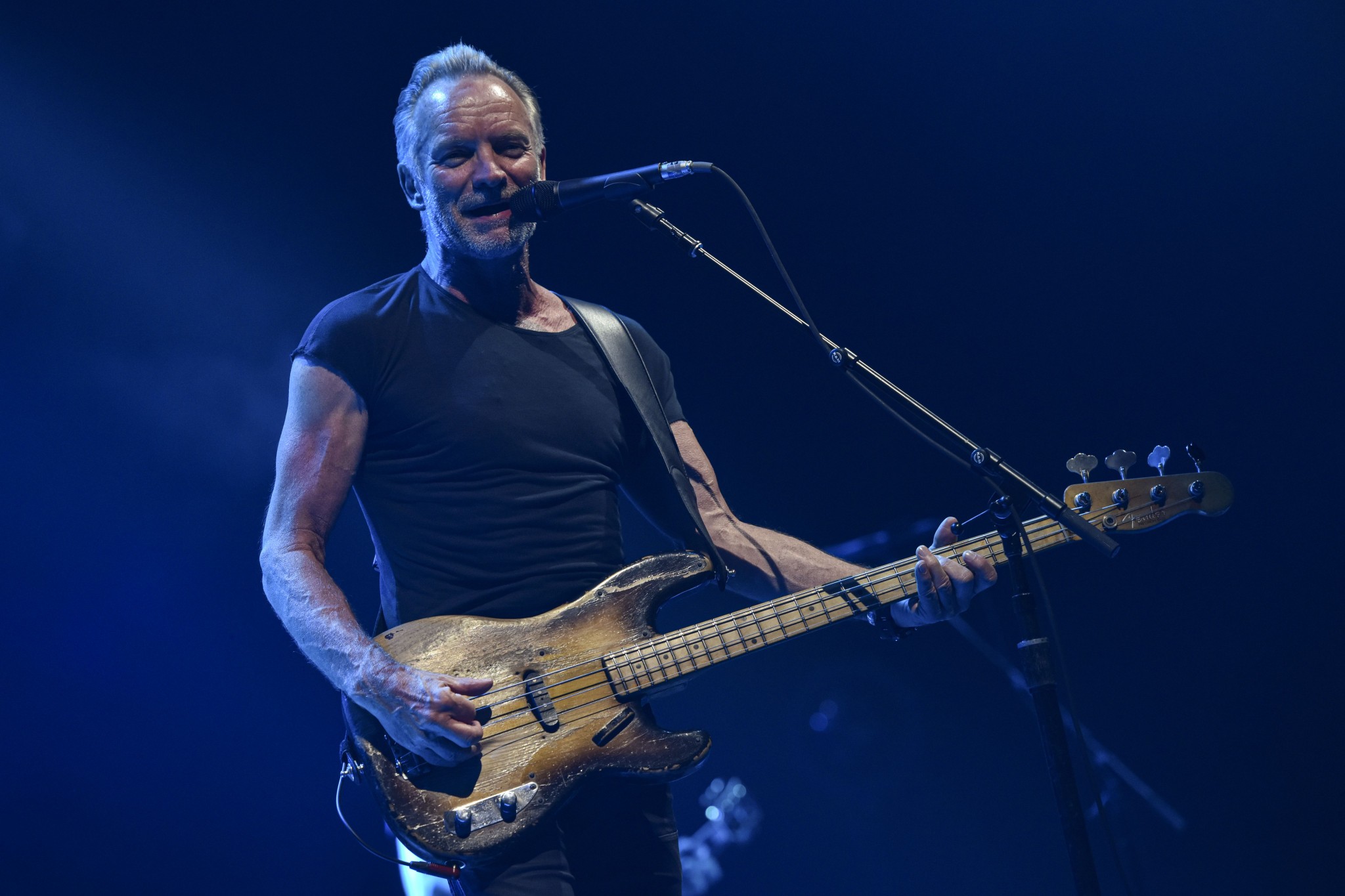 Sting перевод